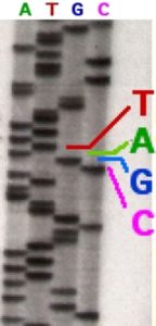 dna_sequencing